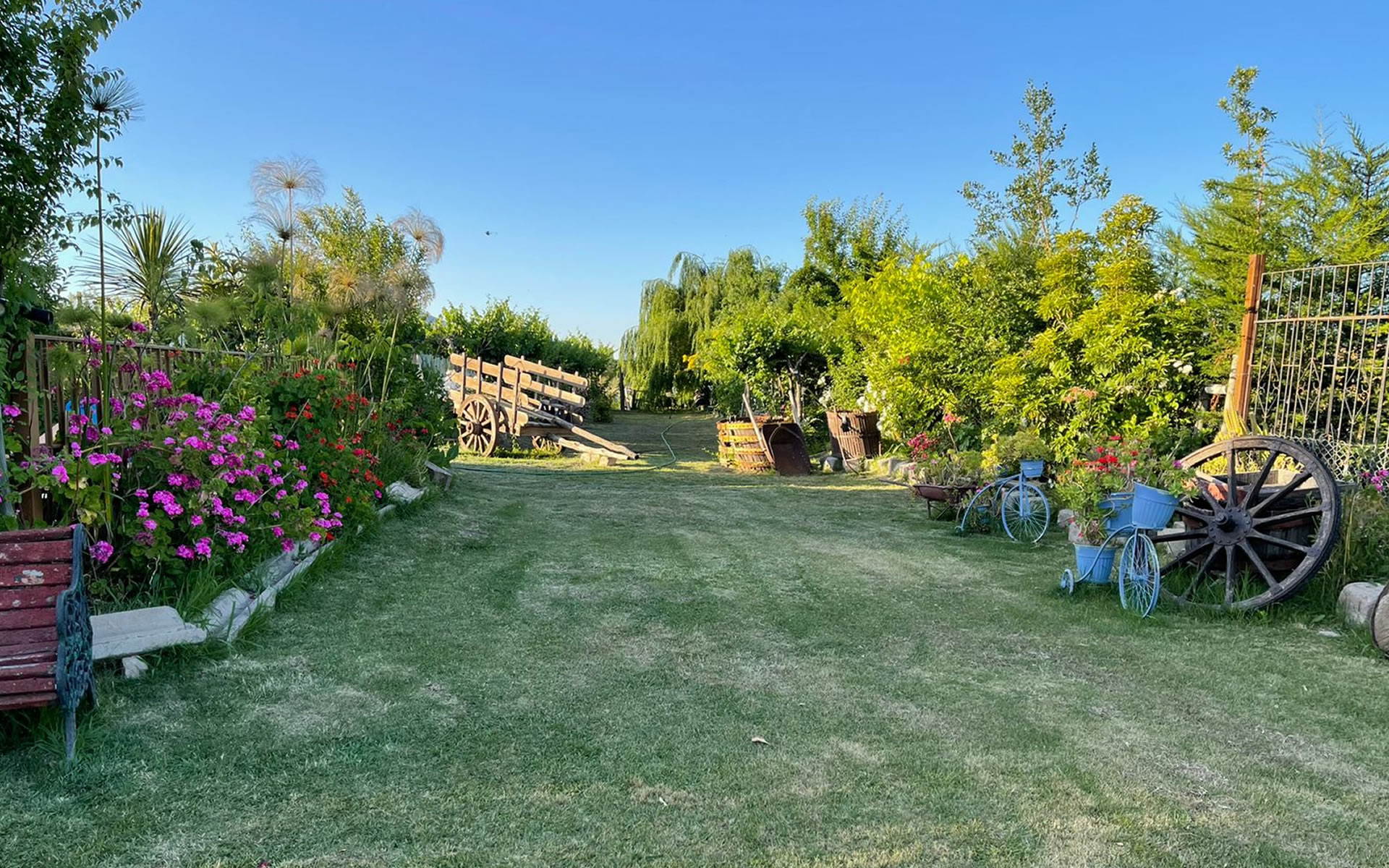 Hotel Vendimia Parador