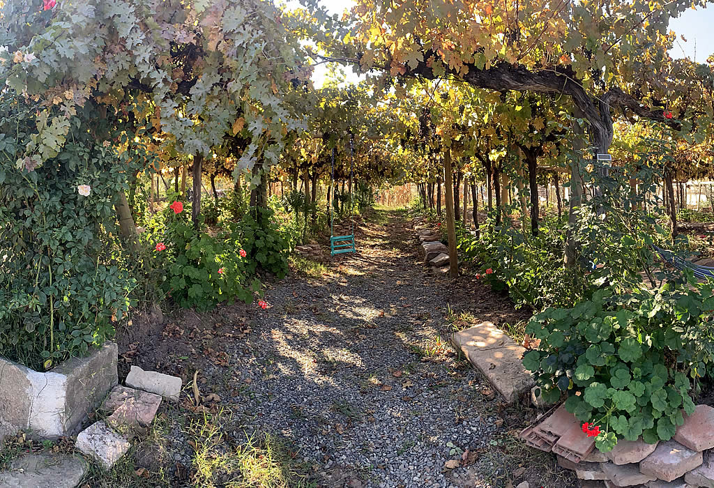 Hotel Vendimia Parador